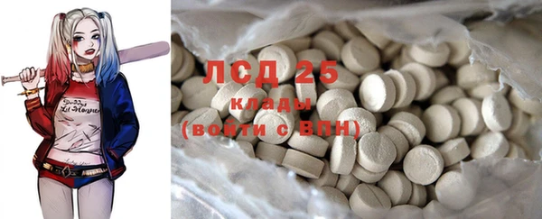 индика Гусиноозёрск