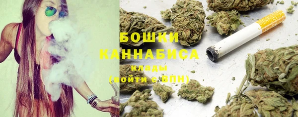 индика Гусиноозёрск