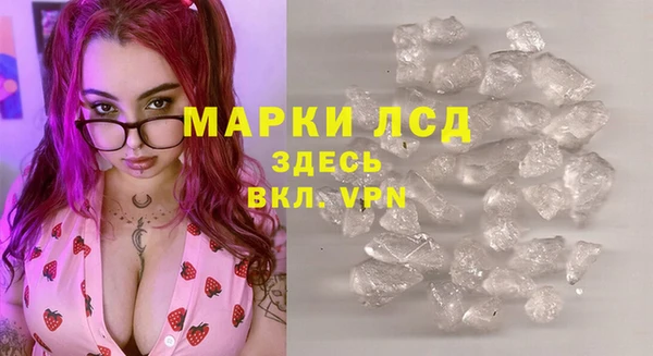 индика Гусиноозёрск